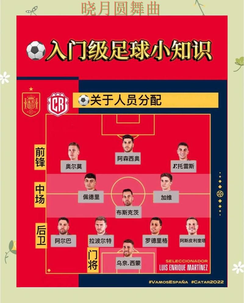 世界杯买球官网新手入门规则解析实用指南